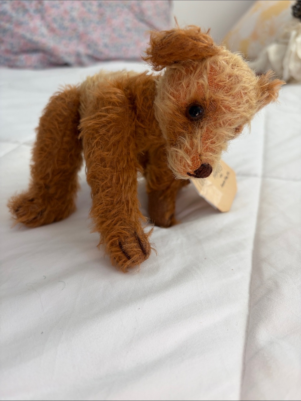 Teddy bear ace - Picture 6 of 11
